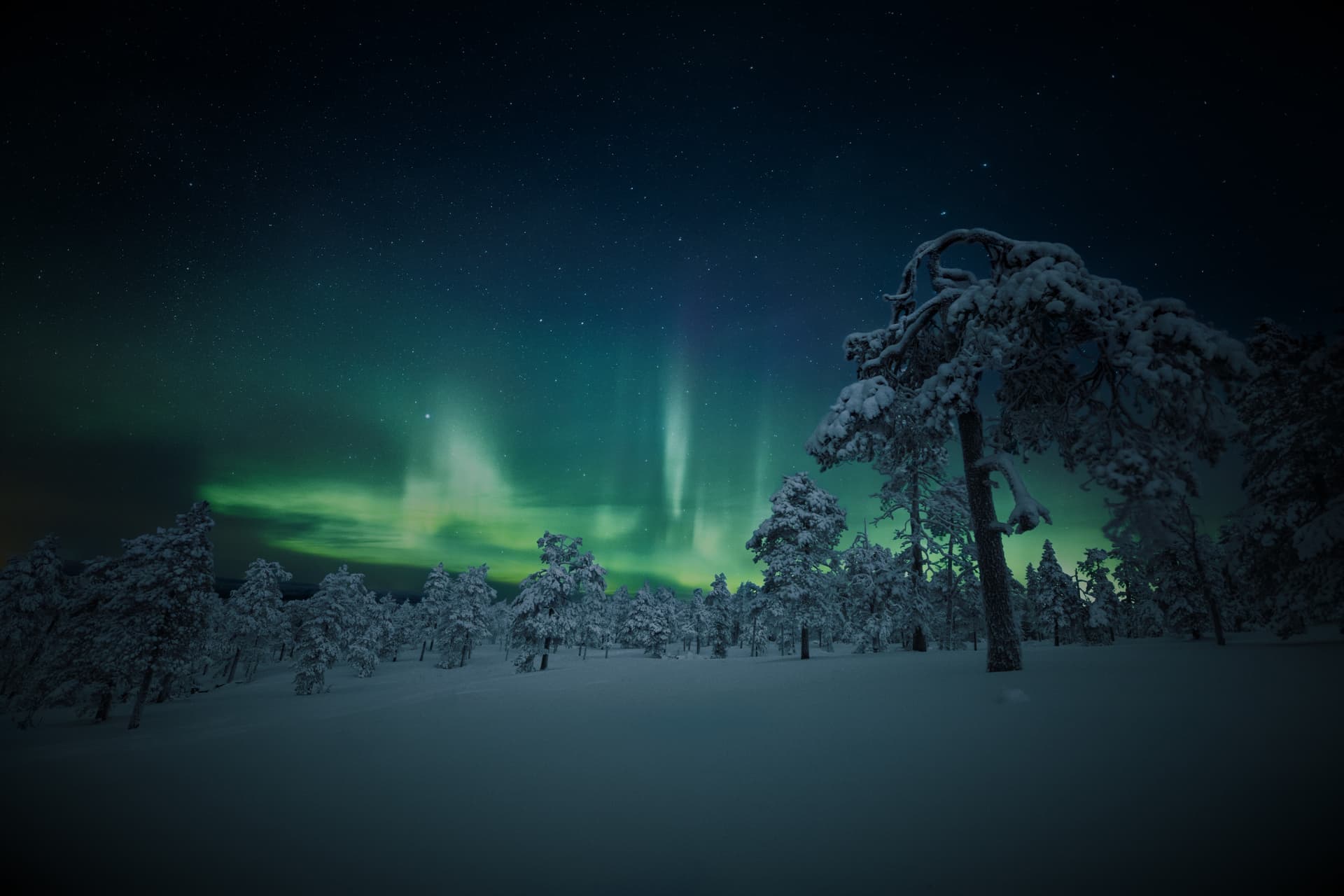 Jalkahoito tunturiretki taustakuva